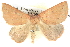  ( - BIOUG06109-G02)  @14 [ ] CreativeCommons - Attribution (2012) CBG Photography Group Centre for Biodiversity Genomics