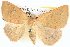  ( - BIOUG06109-G04)  @14 [ ] CreativeCommons - Attribution (2012) CBG Photography Group Centre for Biodiversity Genomics