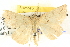  ( - BIOUG06109-G07)  @13 [ ] CreativeCommons - Attribution (2012) CBG Photography Group Centre for Biodiversity Genomics
