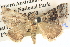  ( - BIOUG06110-A01)  @13 [ ] CreativeCommons - Attribution (2013) CBG Photography Group Centre for Biodiversity Genomics