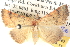  ( - BIOUG06110-B03)  @14 [ ] CreativeCommons - Attribution (2013) CBG Photography Group Centre for Biodiversity Genomics