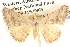  ( - BIOUG06110-B09)  @14 [ ] CreativeCommons - Attribution (2013) CBG Photography Group Centre for Biodiversity Genomics