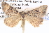  ( - BIOUG06110-C11)  @14 [ ] CreativeCommons - Attribution (2013) CBG Photography Group Centre for Biodiversity Genomics
