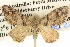  ( - BIOUG06110-F12)  @14 [ ] CreativeCommons - Attribution (2013) CBG Photography Group Centre for Biodiversity Genomics