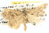  ( - BIOUG06110-G04)  @14 [ ] CreativeCommons - Attribution (2013) CBG Photography Group Centre for Biodiversity Genomics