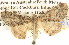  ( - BIOUG06110-H03)  @14 [ ] CreativeCommons - Attribution (2013) CBG Photography Group Centre for Biodiversity Genomics
