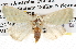  ( - BIOUG06111-D10)  @14 [ ] CreativeCommons - Attribution (2012) CBG Photography Group Centre for Biodiversity Genomics
