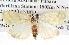  ( - BIOUG06111-D11)  @14 [ ] CreativeCommons - Attribution (2012) CBG Photography Group Centre for Biodiversity Genomics