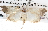  ( - BIOUG06111-D12)  @13 [ ] CreativeCommons - Attribution (2012) CBG Photography Group Centre for Biodiversity Genomics