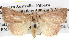  ( - BIOUG06111-E02)  @13 [ ] CreativeCommons - Attribution (2012) CBG Photography Group Centre for Biodiversity Genomics