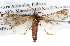  ( - BIOUG06111-H06)  @12 [ ] CreativeCommons - Attribution (2012) CBG Photography Group Centre for Biodiversity Genomics
