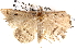  ( - BIOUG06112-A02)  @13 [ ] CreativeCommons - Attribution (2012) CBG Photography Group Centre for Biodiversity Genomics