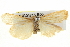  ( - BIOUG04715-B05)  @14 [ ] CreativeCommons - Attribution (2013) CBG Photography Group Centre for Biodiversity Genomics
