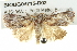  ( - BIOUG04715-D02)  @14 [ ] CreativeCommons - Attribution (2013) CBG Photography Group Centre for Biodiversity Genomics