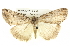  ( - BIOUG04715-E08)  @13 [ ] CreativeCommons - Attribution (2013) CBG Photography Group Centre for Biodiversity Genomics