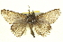  ( - BIOUG04715-F08)  @13 [ ] CreativeCommons - Attribution (2013) CBG Photography Group Centre for Biodiversity Genomics