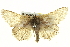  ( - BIOUG04715-F10)  @12 [ ] CreativeCommons - Attribution (2013) CBG Photography Group Centre for Biodiversity Genomics