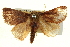 ( - BIOUG04715-G07)  @14 [ ] CreativeCommons - Attribution (2013) CBG Photography Group Centre for Biodiversity Genomics