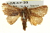  ( - BIOUG04715-G08)  @14 [ ] CreativeCommons - Attribution (2013) CBG Photography Group Centre for Biodiversity Genomics