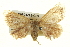  ( - BIOUG04715-G09)  @13 [ ] CreativeCommons - Attribution (2013) CBG Photography Group Centre for Biodiversity Genomics