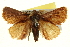  ( - BIOUG04715-G10)  @14 [ ] CreativeCommons - Attribution (2013) CBG Photography Group Centre for Biodiversity Genomics