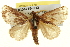  ( - BIOUG04715-G12)  @14 [ ] CreativeCommons - Attribution (2013) CBG Photography Group Centre for Biodiversity Genomics