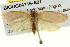  ( - BIOUG04716-A01)  @11 [ ] CreativeCommons - Attribution (2013) CBG Photography Group Centre for Biodiversity Genomics