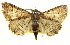  ( - BIOUG04716-B08)  @14 [ ] CreativeCommons - Attribution (2013) CBG Photography Group Centre for Biodiversity Genomics