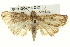  ( - BIOUG04716-D12)  @14 [ ] CreativeCommons - Attribution (2013) CBG Photography Group Centre for Biodiversity Genomics