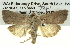  ( - BIOUG05065-G11)  @14 [ ] CreativeCommons - Attribution (2013) CBG Photography Group Centre for Biodiversity Genomics