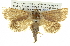 ( - BIOUG05068-B01)  @15 [ ] CreativeCommons - Attribution (2013) CBG Photography Group Centre for Biodiversity Genomics