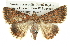  ( - BIOUG05068-F02)  @14 [ ] CreativeCommons - Attribution (2013) CBG Photography Group Centre for Biodiversity Genomics