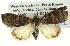  ( - BIOUG05068-G07)  @14 [ ] CreativeCommons - Attribution (2013) CBG Photography Group Centre for Biodiversity Genomics