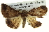  ( - BIOUG05068-H05)  @12 [ ] CreativeCommons - Attribution (2013) CBG Photography Group Centre for Biodiversity Genomics