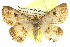  ( - BIOUG05069-D03)  @14 [ ] CreativeCommons - Attribution (2013) CBG Photography Group Centre for Biodiversity Genomics