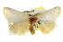  ( - BIOUG05069-D09)  @14 [ ] CreativeCommons - Attribution (2013) CBG Photography Group Centre for Biodiversity Genomics