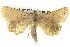  ( - BIOUG05069-G05)  @15 [ ] CreativeCommons - Attribution (2013) CBG Photography Group Centre for Biodiversity Genomics