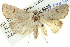  ( - BIOUG05069-G12)  @14 [ ] CreativeCommons - Attribution (2013) CBG Photography Group Centre for Biodiversity Genomics