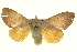  ( - BIOUG05070-C10)  @14 [ ] CreativeCommons - Attribution (2013) CBG Photography Group Centre for Biodiversity Genomics