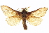  ( - BIOUG05070-F10)  @13 [ ] CreativeCommons - Attribution (2013) CBG Photography Group Centre for Biodiversity Genomics