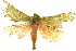 ( - BIOUG05070-G08)  @14 [ ] CreativeCommons - Attribution (2013) CBG Photography Group Centre for Biodiversity Genomics
