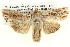  ( - BIOUG05073-A09)  @14 [ ] CreativeCommons - Attribution (2013) CBG Photography Group Centre for Biodiversity Genomics