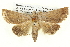 ( - BIOUG05073-A12)  @15 [ ] CreativeCommons - Attribution (2013) CBG Photography Group Centre for Biodiversity Genomics
