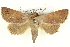  ( - BIOUG05073-B01)  @15 [ ] CreativeCommons - Attribution (2013) CBG Photography Group Centre for Biodiversity Genomics