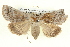  ( - BIOUG05073-B03)  @14 [ ] CreativeCommons - Attribution (2013) CBG Photography Group Centre for Biodiversity Genomics
