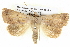  ( - BIOUG05073-B04)  @15 [ ] CreativeCommons - Attribution (2013) CBG Photography Group Centre for Biodiversity Genomics