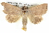  ( - BIOUG05073-B08)  @15 [ ] CreativeCommons - Attribution (2013) CBG Photography Group Centre for Biodiversity Genomics