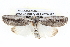  ( - BIOUG05073-B12)  @14 [ ] CreativeCommons - Attribution (2013) CBG Photography Group Centre for Biodiversity Genomics