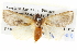 ( - BIOUG05073-C04)  @13 [ ] CreativeCommons - Attribution (2013) CBG Photography Group Centre for Biodiversity Genomics