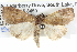  ( - BIOUG05073-F09)  @14 [ ] CreativeCommons - Attribution (2013) CBG Photography Group Centre for Biodiversity Genomics